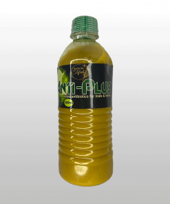HerbsByTifah-HBT-Anti-Plus-Herbal-Antibiotics-Product-Image