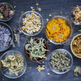 HerbsByTifah-HBT-Herbs