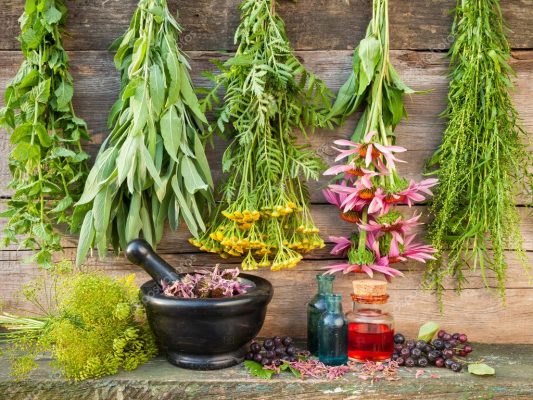 bunches of healing herbs on wooden wall, mortar with dried plant